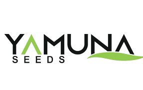 yamunaSeeds